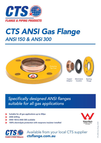 ANSI Gas Flange Brochure